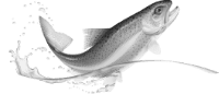 bcelogofish bw 200x86 transparent